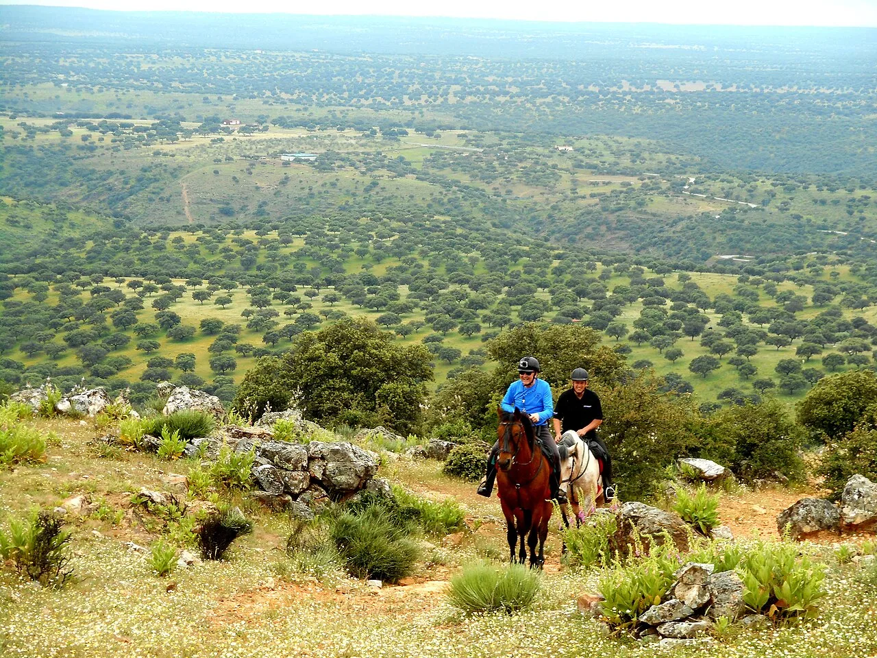 MONFRAGÜE NATIONAL PARK. EXTREMADURA. SPAIN